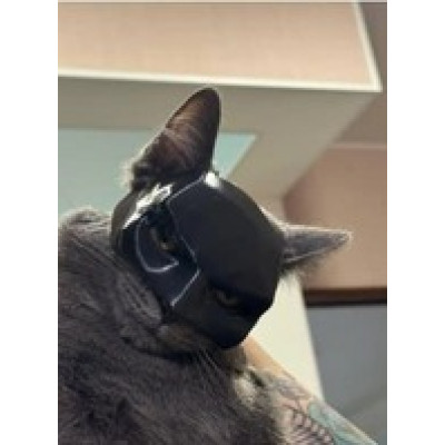 Маска для кота "BATCAT" 3D (Маска бетмена)