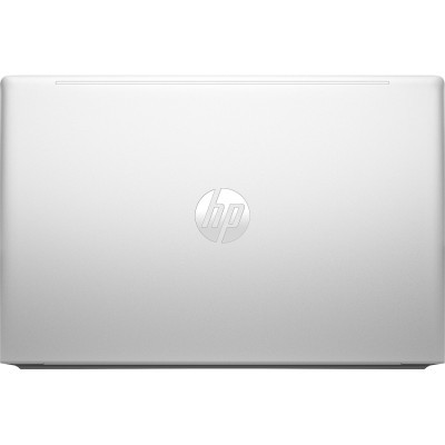 Ноутбук HP ProBook 455 G10 (719F5AV_V3)