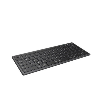 Клавіатура A4Tech FX61 USB Grey