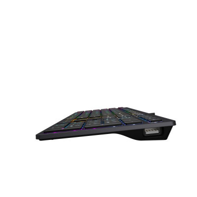 Клавіатура A4Tech FX60H USB Grey Neon backlit