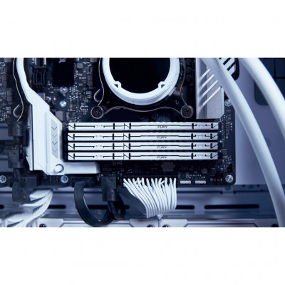 Модуль пам'яті для комп'ютера DDR5 64GB (2x32GB) 5600 MHz Beast White EXPO Kingston Fury (ex.HyperX) (KF556C36BWEK2-64)