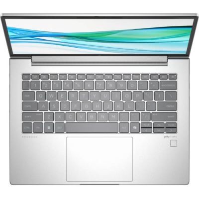 Ноутбук HP ProBook 445 G11 (8Z9P4AV_V2)