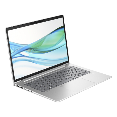 Ноутбук HP ProBook 445 G11 (8Z9P6AV_V3)