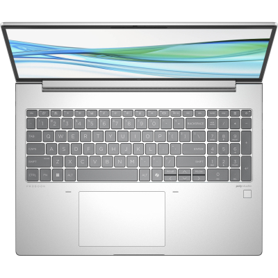 Ноутбук HP ProBook 460 G11 (8Z675AV_V4)