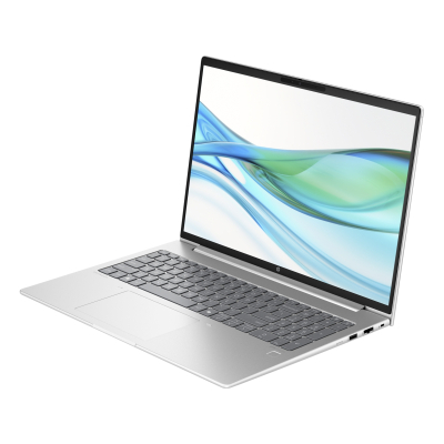 Ноутбук HP ProBook 465 G11 (901H2AV_V1)