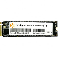 Накопичувач SSD M.2 2280 1TB X500S ATRIA (ATNVMX500S/1024)