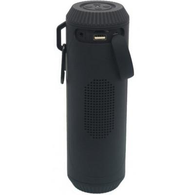 Акустична система Greenwave PS-601WP black (R0015299)