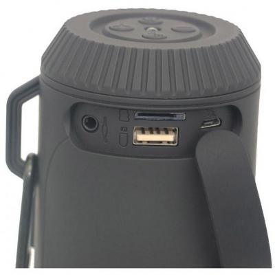 Акустична система Greenwave PS-601WP black (R0015299)