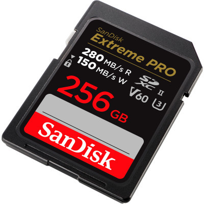 Карта пам'яті SanDisk 256GB SDXC class 10 UHS-I Extreme Pro (SDSDXEP-256G-GN4IN)