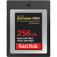 Карта пам'яті SanDisk 256GB CFexpress Extreme Pro (SDCFSP-256G-G46D)