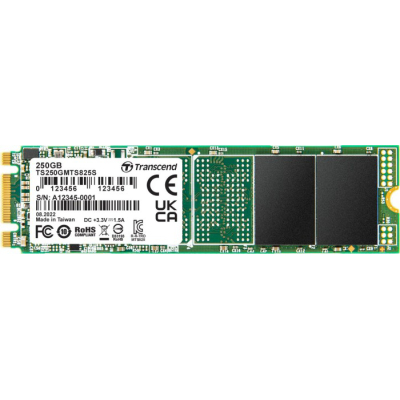 Накопичувач SSD M.2 2280 250GB Transcend (TS250GMTS825S)