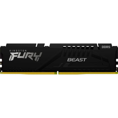 Модуль пам'яті для комп'ютера DDR5 16GB 6000 MHz Beast Black EXPO Kingston Fury (ex.HyperX) (KF560C30BBE-16)