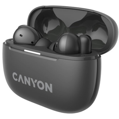 Навушники Canyon TWS-10 OnGo ANC ENC Graphite (CNS-TWS10B)