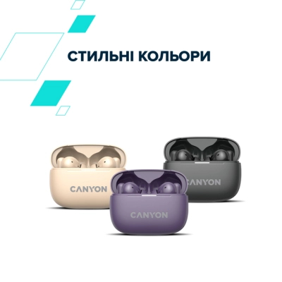 Навушники Canyon TWS-10 OnGo ANC ENC Graphite (CNS-TWS10B)