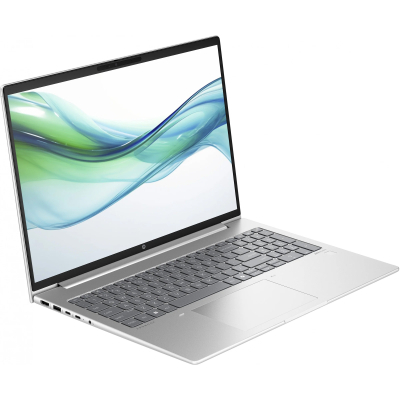 Ноутбук HP ProBook 460 G11 (8Z680AV_V1)