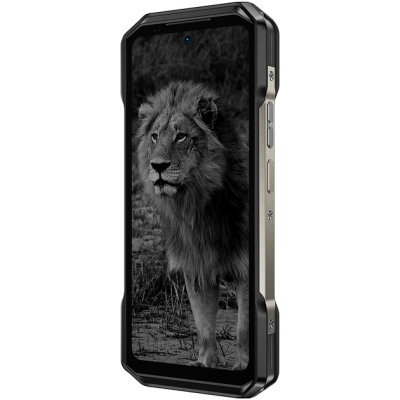 Мобільний телефон Ulefone Armor 27 Pro 12/256Gb Black (6975326662840)