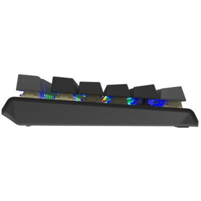 Клавіатура A4Tech FS100 RGB FS Switch USB Stone Black (4711422003925)