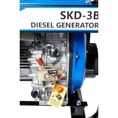 Генератор Enersol 3,0 kW (SKD-3B)