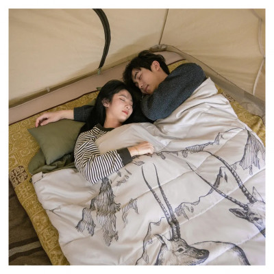 Спальний мішок Naturehike двомісний із подушками NH21MSD06 Green (6927595795330)