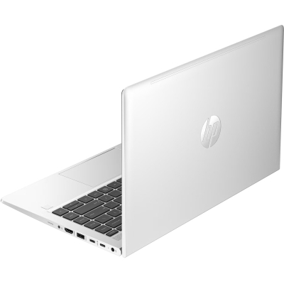 Ноутбук HP Probook 440 G10 (8D4L8ES)