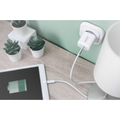 Зарядний пристрій Digitus Universal USB-C (DA-10196)