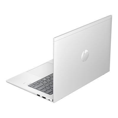 Ноутбук HP Probook 445 G11 (9Y7K5ET)