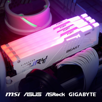 Модуль пам'яті для комп'ютера DDR5 16GB 6000 MHz Beast RGB EXPO White Kingston Fury (ex.HyperX) (KF560C36BWEA-16)