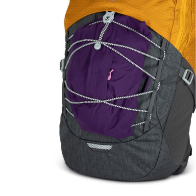 Рюкзак туристичний Osprey Quasar 26 atlas blue heather O/S (009.3132)